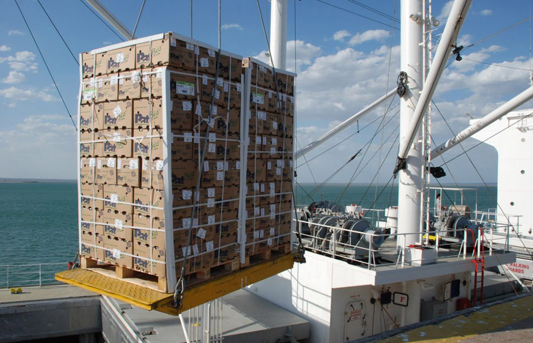 EXPORTACION FRUTA Y HORTALIZAS FEPEX 1068x688