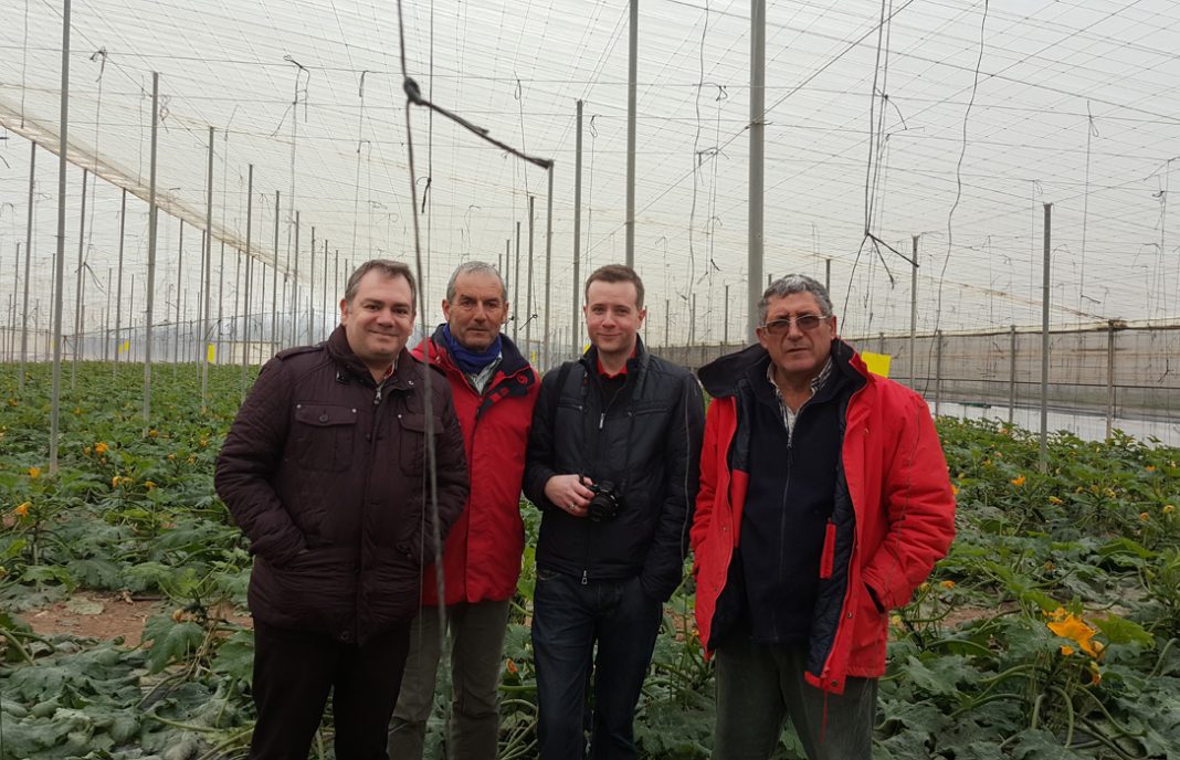 CALABACÍN MURCIANO 1068x688