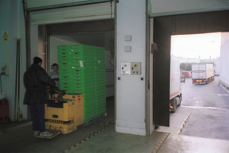 Exportaciones hortofrutícolas